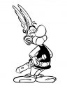 immagine del gallo Asterix.