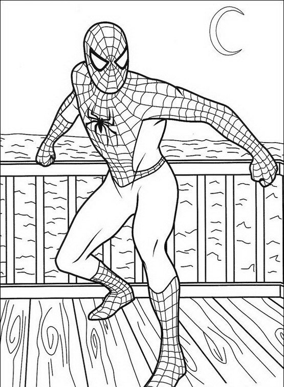 Spiderman da colorare disegni gratis for Disegni di spiderman da colorare e stampare