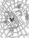 disegno dell'uomo ragno al centro della ragnatela