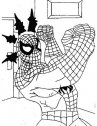 colora spiderman con i suoi potenti muscoli